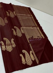 Borderless Traditional Coffee Festive Wear Silk Saree